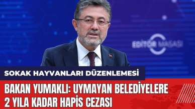 Sokak hayvanları düzenlemesi: Bakan Yumaklı: Uymayan belediyelere 2 yıla kadar hapis cezası