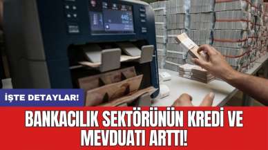 Bankacılık sektörünün kredi ve mevduatı arttı!