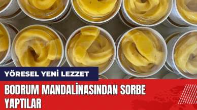 Bodrum mandalinasından sorbe yaptılar