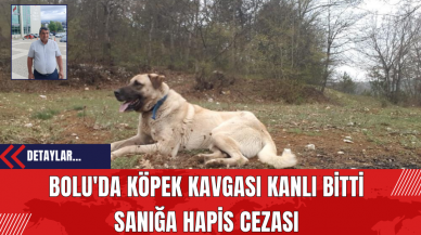 Bolu'da Köpek Kavgası Kanlı Bitti: Sanığa Hapis Cezası