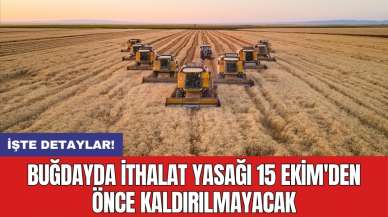 Buğdayda ithalat yasağı 15 Ekim'den önce kaldırılmayacak