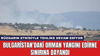 Bulgaristan'daki orman yangını Edirne sınırına dayandı