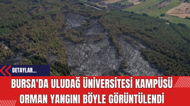 Bursa'da Uludağ Üniversitesi Kampüsü Orman Yangını Böyle Görüntülendi