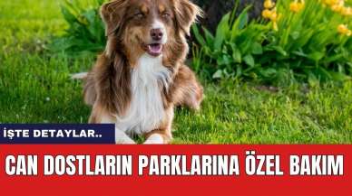 Can dostların parklarına özel bakım