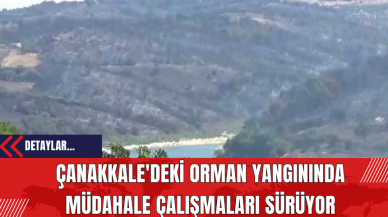 Çanakkale'deki Orman Yangınında Müdahale Çalışmaları Sürüyor