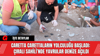 Caretta Carettaların Yolculuğu Başladı: Çıralı Sahili’nde Yavrular Denize Açıldı