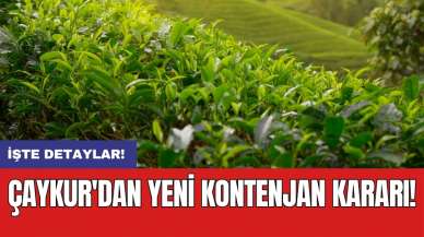 ÇAYKUR'dan yeni kontenjan kararı!