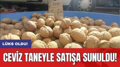 Ceviz taneyle satışa sunuldu!