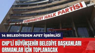 CHP'li Büyükşehir Belediye Başkanları ormanlar için toplanacak