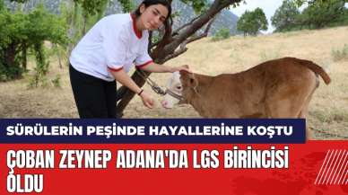 Çoban Zeynep Adana'da LGS birincisi oldu