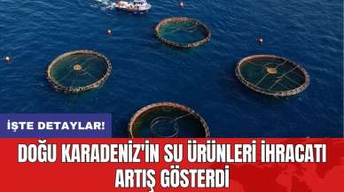 Doğu Karadeniz'in su ürünleri ihracatı artış gösterdi