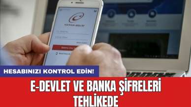 e-Devlet ve banka şifreleri tehlikede: Hesabınızı kontrol edin!