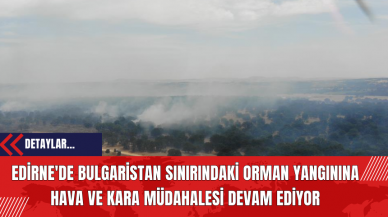 Edirne'de Bulgaristan Sınırındaki Orman Yangınına Hava ve Kara Müdahale Devam Ediyor