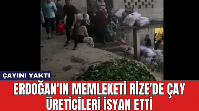 Erdoğan'ın memleketi Rize'de çay üreticileri isyan etti