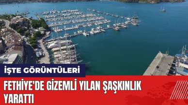 Fethiye'de gizemli yılan şaşkınlık yarattı