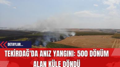 Tekirdağ'da Anız Yangını: 500 Dönüm Alan Küle Döndü