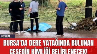 Bursa'da Dere Yatağında Bulunan Cese*in Kimliği Belirlenecek!