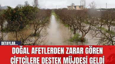 Doğal Afetlerden Zarar Gören Çiftçilere Destek Müjdesi Geldi