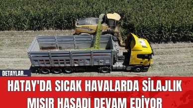 Hatay'da Sıcak Havalarda Silajlık Mısır Hasadı Devam Ediyor