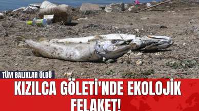 Kızılca Göleti'nde Ekolojik Felaket! Tüm Balıklar Öldü