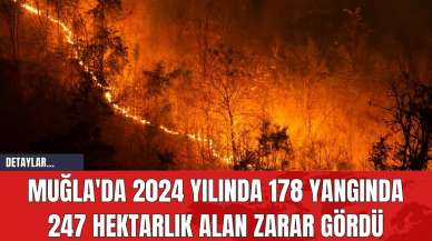 Muğla'da 2024 Yılında 178 Yangında 247 Hektarlık Alan Zarar Gördü