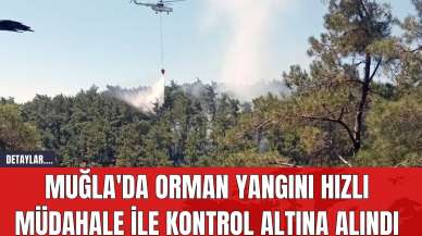 Muğla'da Orman Yangını Hızlı Müdahale İle Kontrol Altına Alındı