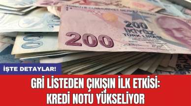 Gri listeden çıkışın ilk etkisi: Kredi notu yükseliyor