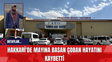 Hakkari'de Mayına Basan Çoban Hayatını Kaybetti