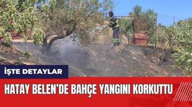 Hatay Belen'de bahçe yangını korkuttu