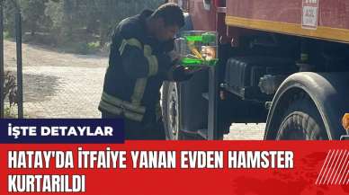 Hatay'da itfaiye yanan evden hamster kurtarıldı