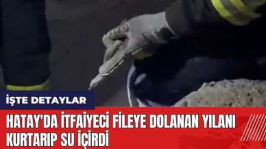 Hatay'da itfaiyeci fileye dolanan yılanı kurtarıp su içirdi