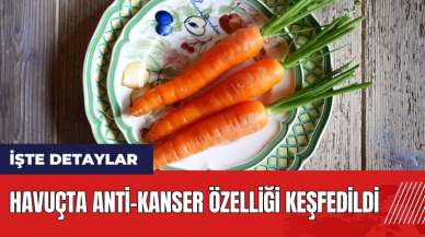 Havuçta anti-kanser özelliği keşfedildi