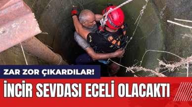 İncir sevdası eceli olacaktı!