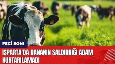 Isparta'da dananın saldırdığı adam kurtarılamadı