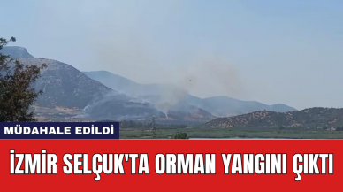 İzmir Selçuk'ta orman yangını çıktı: Müdahale edildi