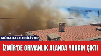 İzmir'de ormanlık alanda yangın çıktı: Müdahale ediliyor