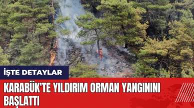 Karabük'te yıldırım orman yangınını başlattı