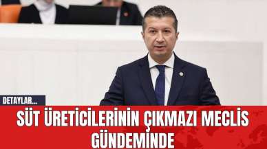 Süt Üreticilerinin Çıkmazı Meclis Gündeminde