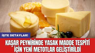 Kaşar peynirinde yasak madde tespiti için yeni metotlar geliştirildi