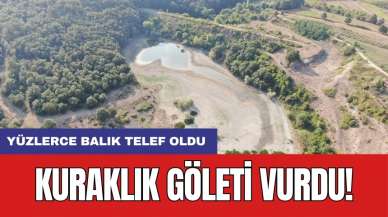 Kuraklık göleti vurdu: Yüzlerce balık telef oldu