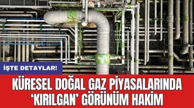 Küresel doğal gaz piyasalarında ‘kırılgan’ görünüm hakim