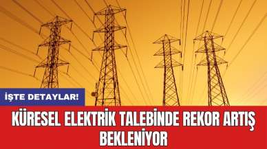 Küresel elektrik talebinde rekor artış bekleniyor