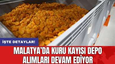 Malatya’da kuru kayısı depo alımları devam ediyor