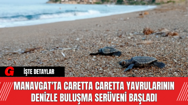 Manavgat'ta Caretta Caretta Yavrularının Denizle Buluşma Serüveni Başladı