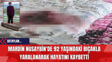 Mardin Nusaybin'de 92 Yaşındaki Bıçakla Yaralanarak Hayatını Kaybetti