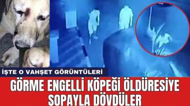 İzmir'de vahş*t! Görme engelli köpek öld*resiye dövüldü