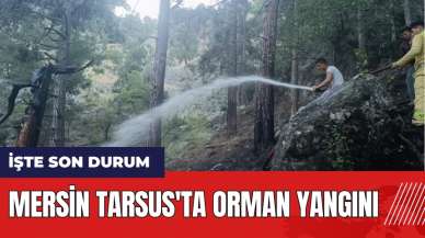 Mersin Tarsus'ta orman yangını