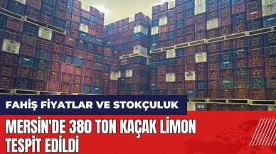 Mersin'de 380 ton kaçak limon tespit edildi