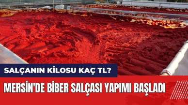 Mersin'de biber salçası yapımı başladı! Salçanın kilosu kaç TL?