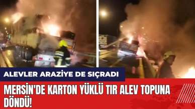 Mersin'de karton yüklü tır alev topuna döndü! Alevler araziye de sıçradı